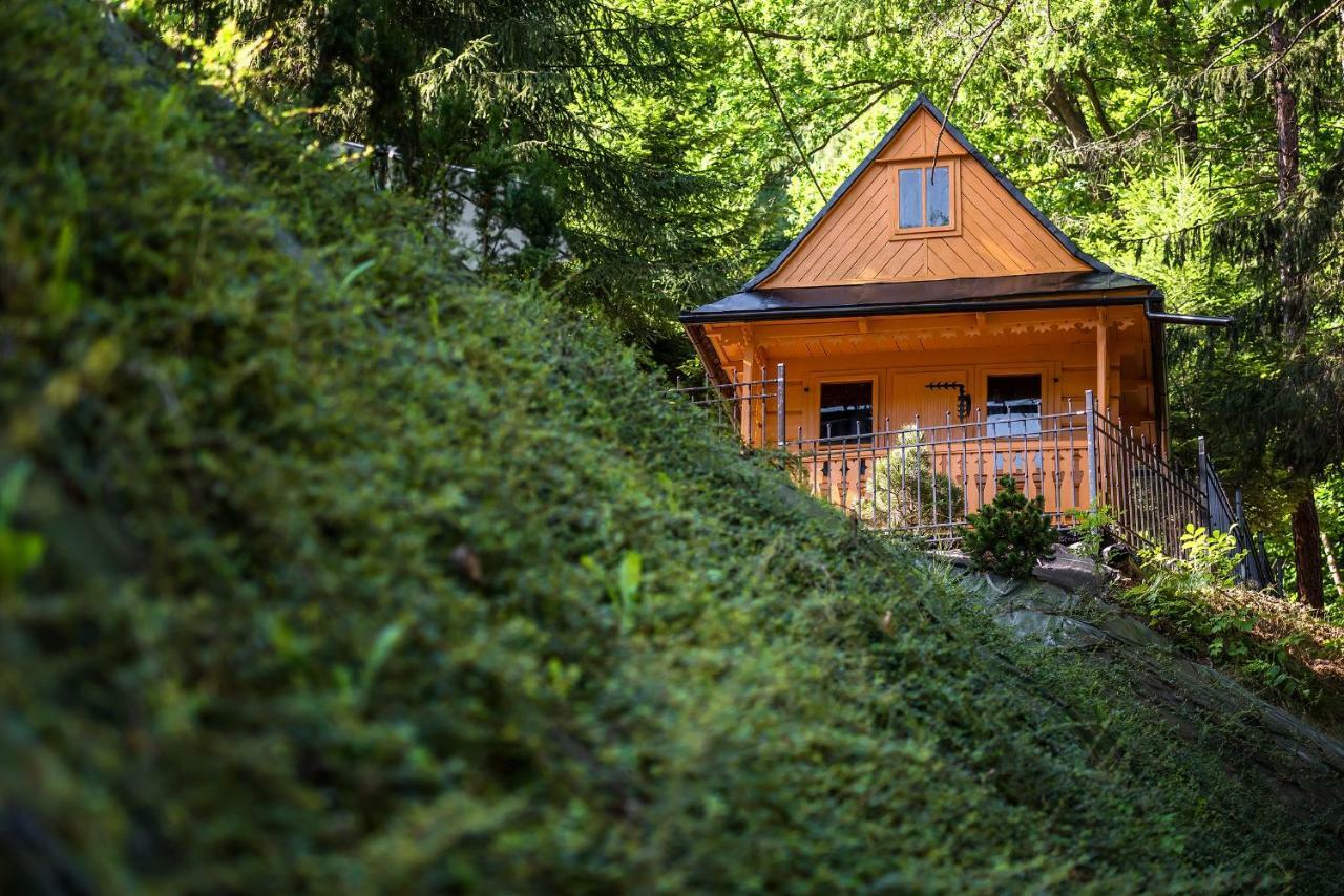 Willa Nad Parkiem Szczawnica Bagian luar foto